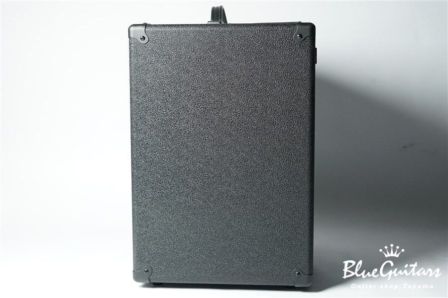 Ampeg BA112 | Blue Guitars Online Store